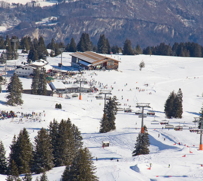 About Morillon